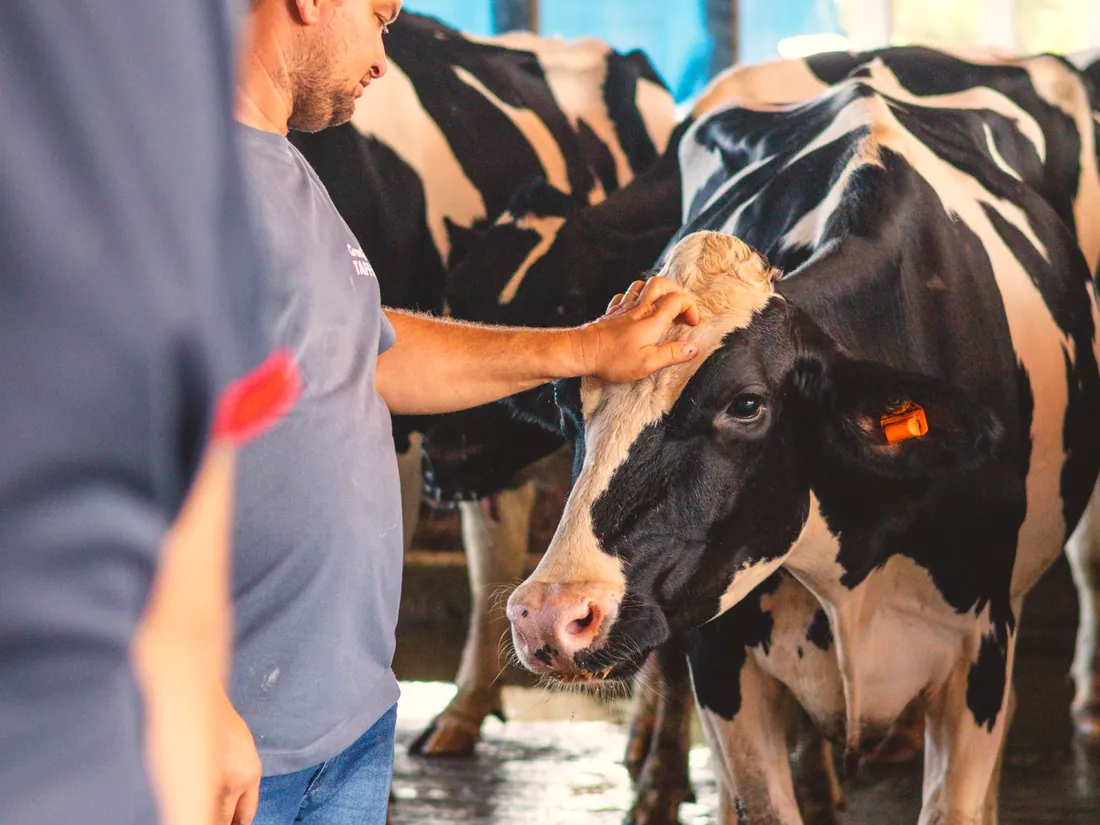 On-farm advisory with a farmer