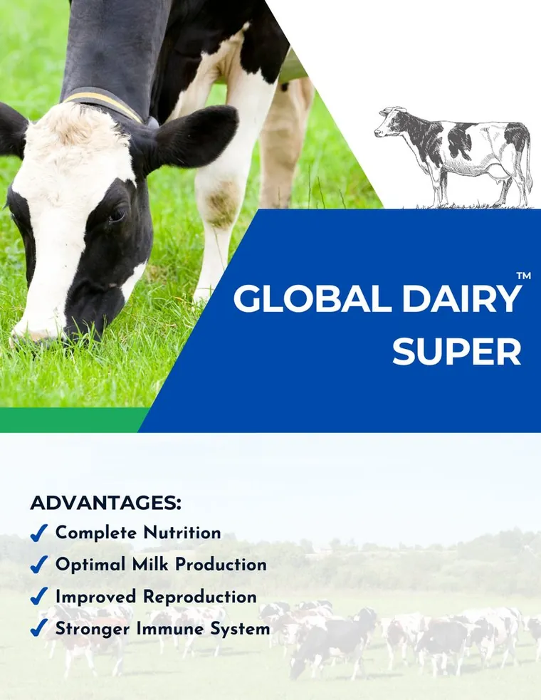 Global Dairy Super