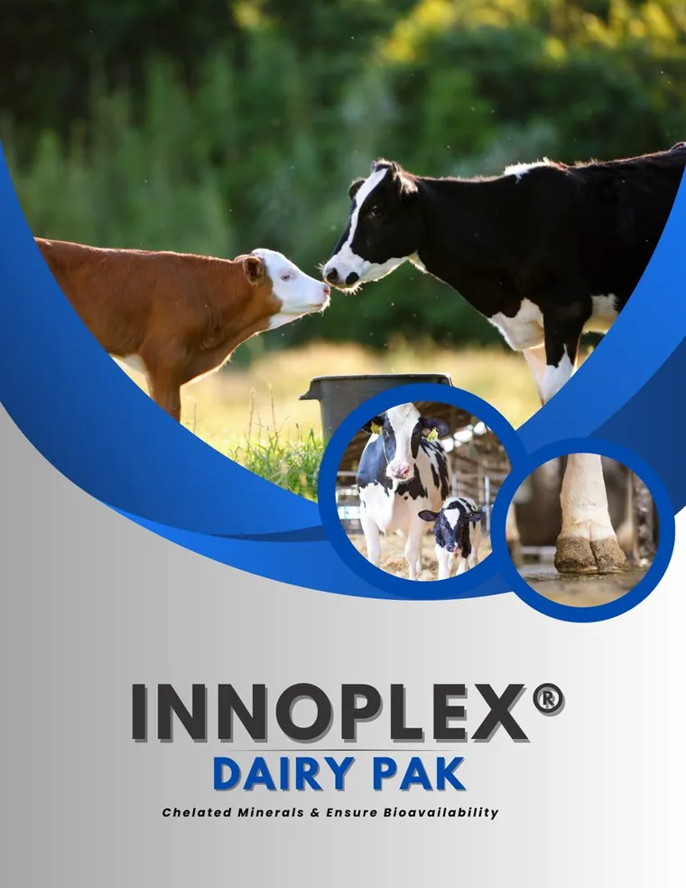 Innoplex Dairy Pak