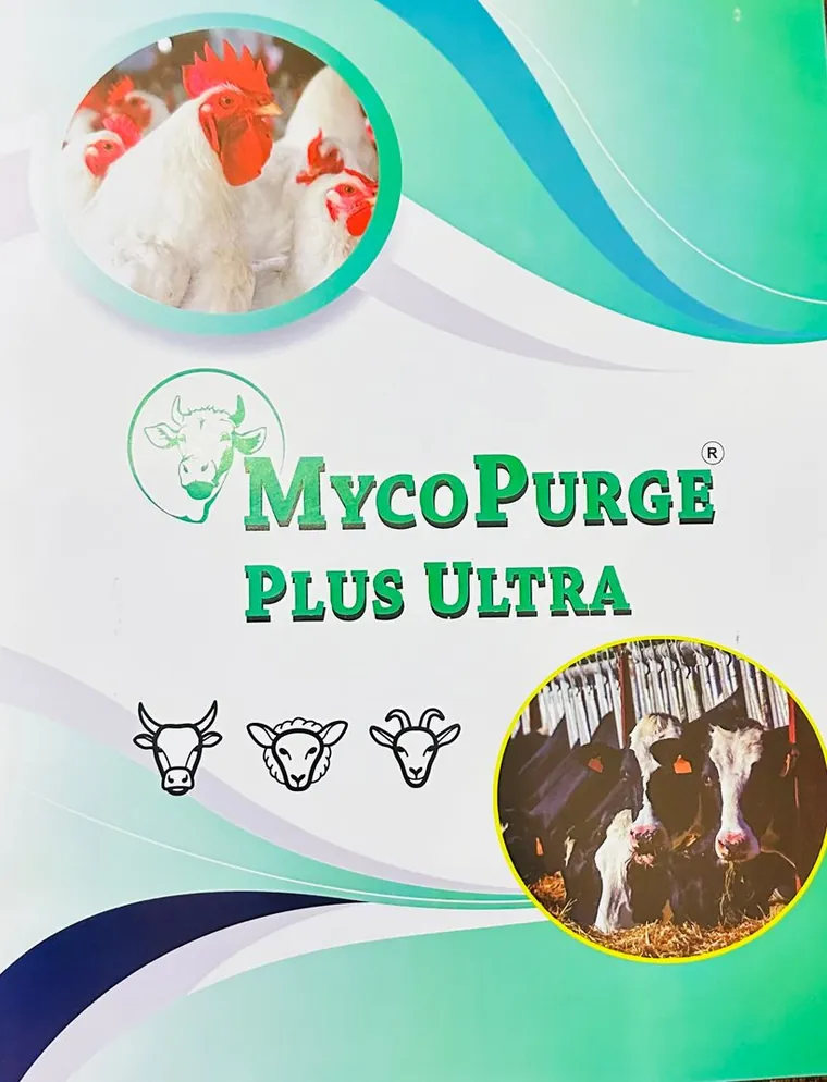 Mycopurge Plus Ultra
