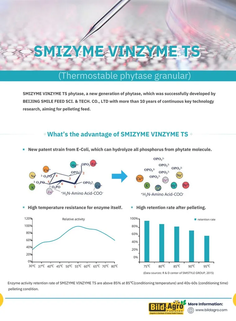 Smizyme TS